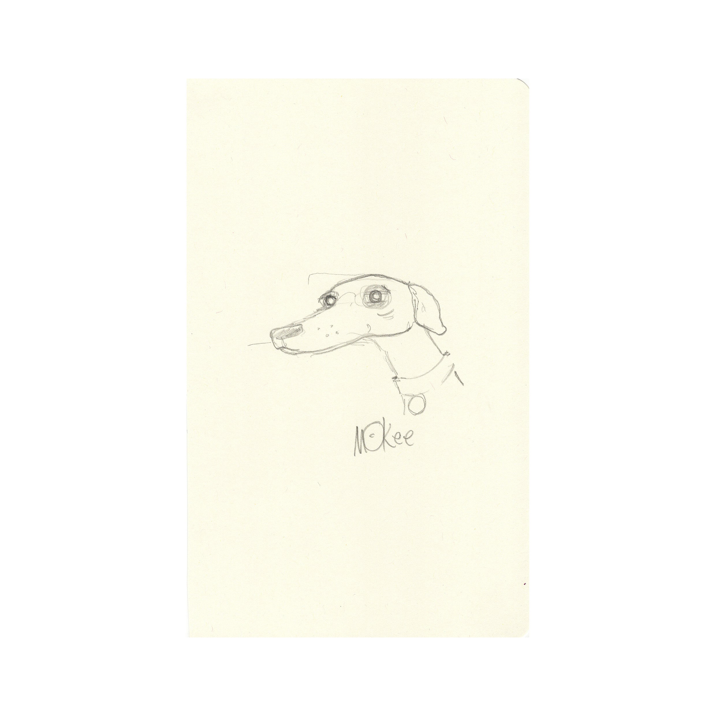 Study of Frank the Dog - Original Sketch